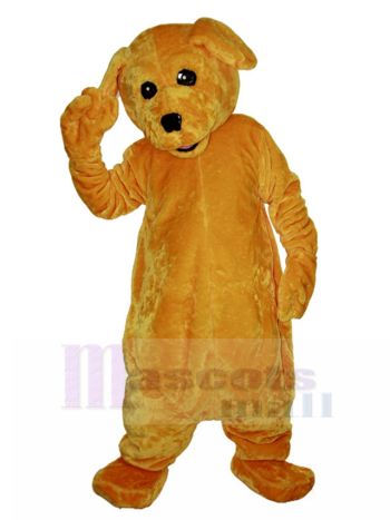 hund maskottchen kostüm