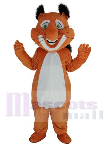 Eichhörnchen maskottchen kostüm
