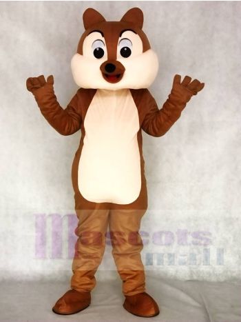 Lustiges Kostüm Tier der Eichhörnchen Jungen Maskottchen