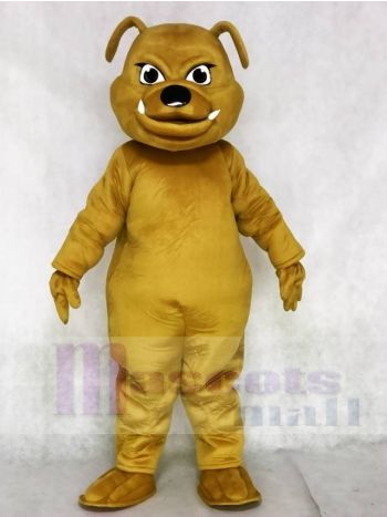 Braun Bulldogge Maskottchen Kostüme