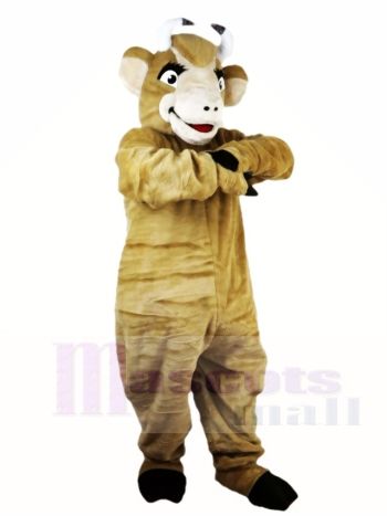 Stier Yak Vieh Ochsen Maskottchen kostüme Tier