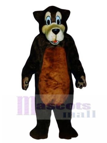 Nettes Bruder Bären Maskottchen Kostüm