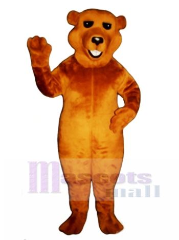 New Barry Bären Maskottchen Kostümtier