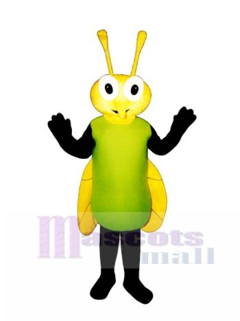 Fee Fliege Maskottchen Kostüm
