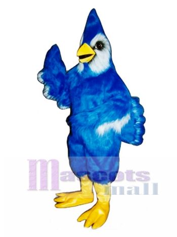 Neu Blauhäher Maskottchen Kostüm Vogel