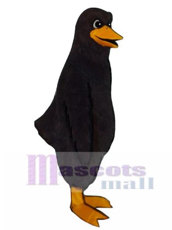Amsel Maskottchen Kostüm