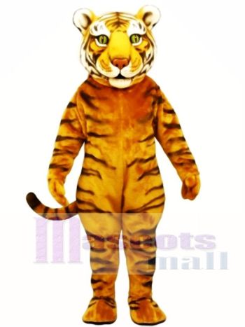 Niedliches Tiger Ted Maskottchen Kostüm