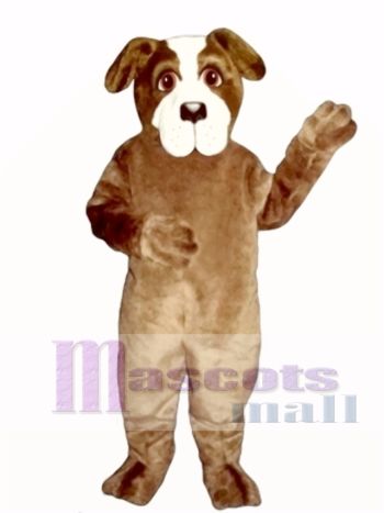 Niedlich Sankt Bernhard Hund Maskottchen Kostüm Tier 