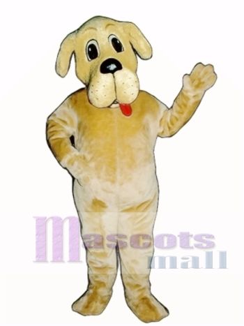 Nettes Bernie Bernard Hunde maskottchen Kostüm Tier