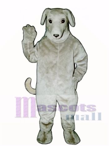 Niedlich Windhund Hund Maskottchen Kostüm