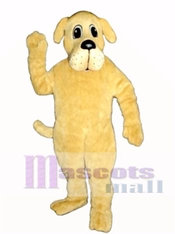 Niedlich Purvis Hündchen Hund Maskottchen Kostüm Tier 