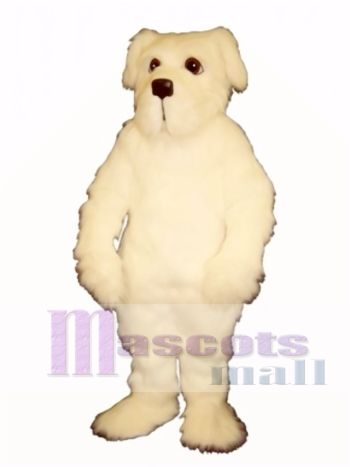 Niedlich Zange Hund Maskottchen Kostüm Tier 