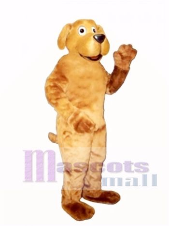 Nettes Danny Dog Maskottchen Kostüm