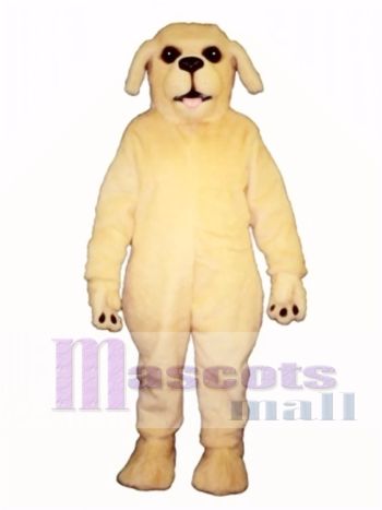 Niedlich Golden Labor Hund Maskottchen Kostüm Tier 