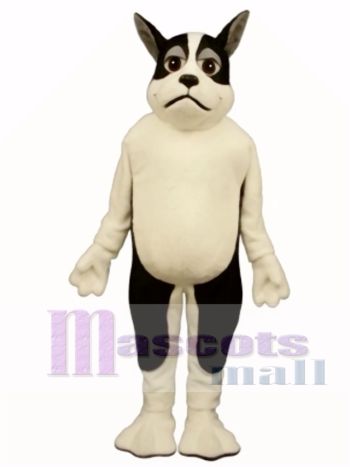 Netter Harrington Terrier Hund Maskottchen Kostüm