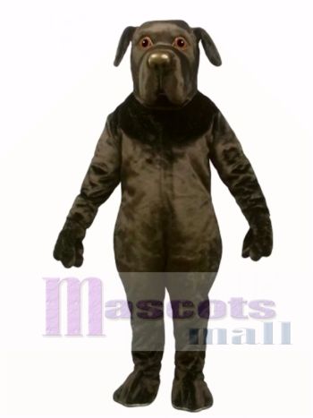 Niedlich gefunden Land Hund Maskottchen Kostüm Tier 