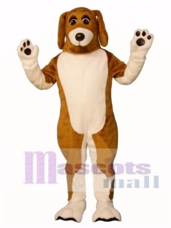 Netter Bossy Beagle Hund Maskottchen Kostüm Tier