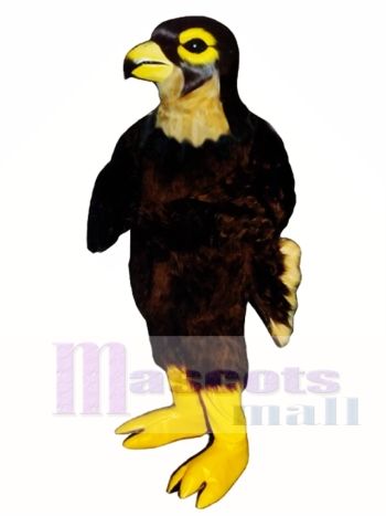 Niedlich Falke Falke Maskottchen Kostüm