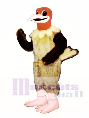 Niedlich Billy Bussard Adler Maskottchen Kostüm