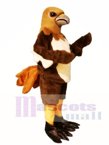 rot Schwanz Falke Maskottchen Kostüm