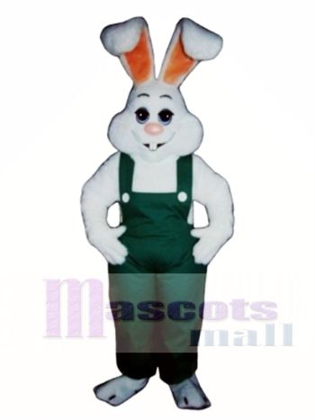 Osterhase Hase Junge Maskottchen Kostüm