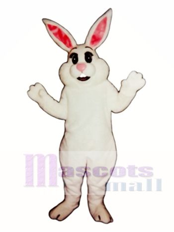Ostern Honig Hase Kaninchen Maskottchen Kostüm