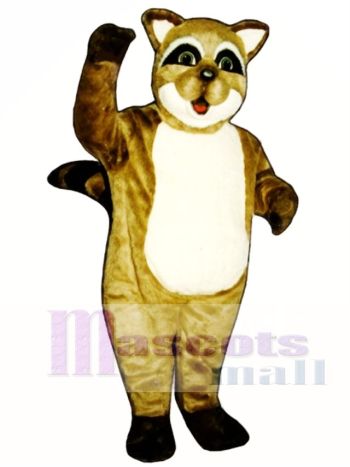 Felsig Waschbär Maskottchen Kostüm Tier
