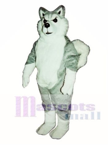 Nettes Willy Wolf Maskottchen Kostüm