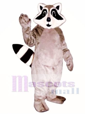 Kleines Waschbär Maskottchen Kostüm Tier