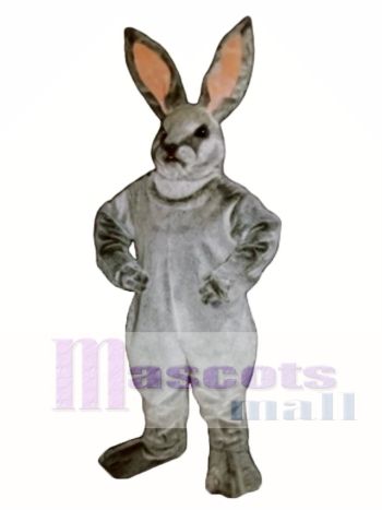Ostern Jack Hase Kaninchen Maskottchen Kostüm