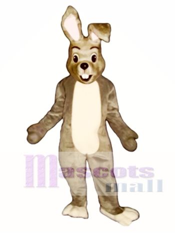 Ostern Glücklich Hase Kaninchen Maskottchen Kostüm