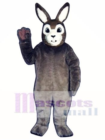 Ostern J.R. Hase Kaninchen Maskottchen Kostüm