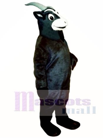 Schwarzes Ziegen Maskottchen Kostüm