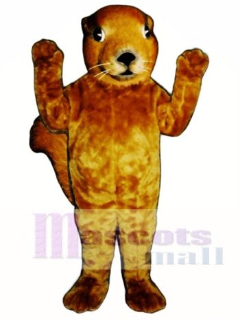 Realistisches Eichhörnchen Maskottchen Kostüm