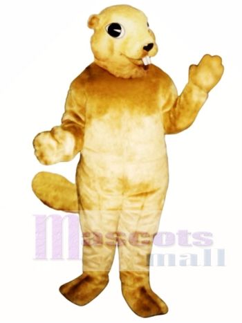 Eichhörnchen mit Zähne Maskottchen Kostüm