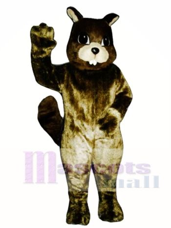Eichhörnchen Maskottchen Kostüm