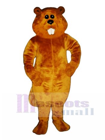 Albert Biber Maskottchen Kostüm Tier