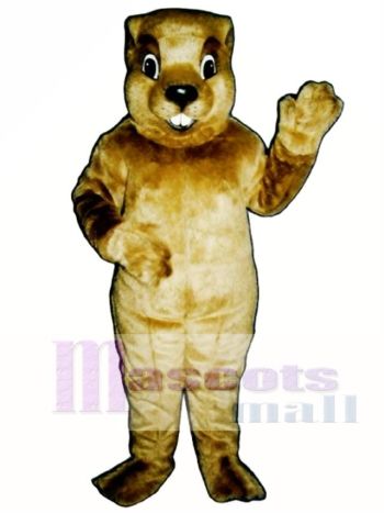 Groundhog Mascot Costume