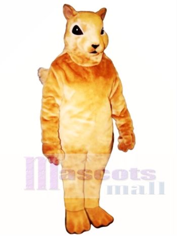 Eichhörnchen Squirrel Maskottchen Kostüm