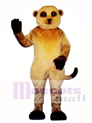 Erdmännchen Maskottchen Kostüm