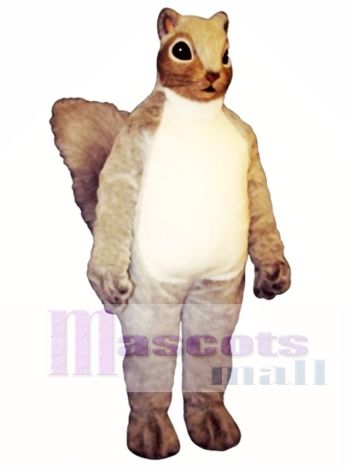 Eichhörnchen Eichhörnchen Maskottchen Kostüm