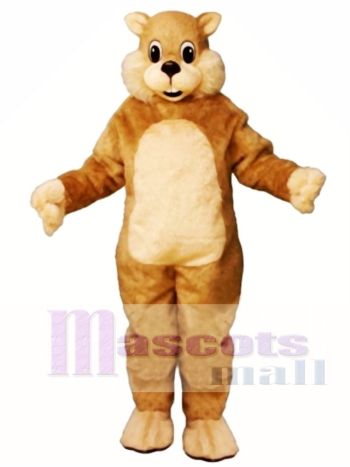 Gesprächig Eichhörnchen Maskottchen Kostüm