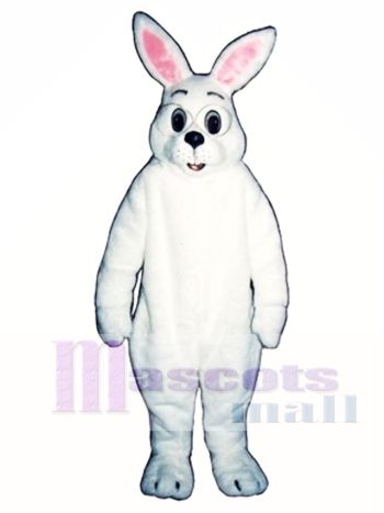 Netter Osterhase Kaninchen mit Brille Maskottchen Kostüm