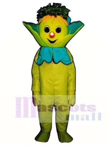 Lenny Salat Maskottchen Kostüm Gemüse