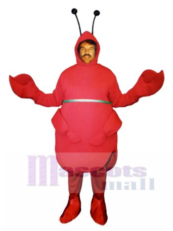 Rotes Käfer Maskottchen Kostüm