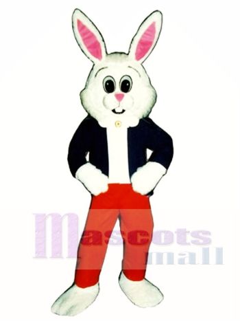 Ostern Hase-Häschen Kaninchen Maskottchen Kostüm