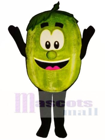 Wally Watermelon Maskottchen Kostüm Obst