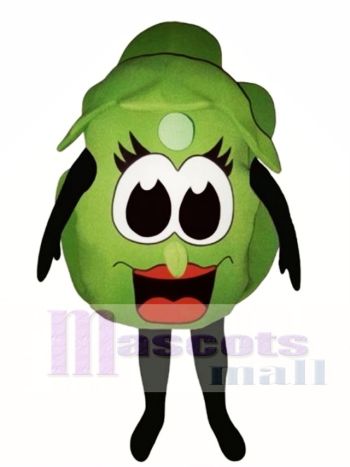 Salat Kopf Maskottchen Gemüse Kostüm