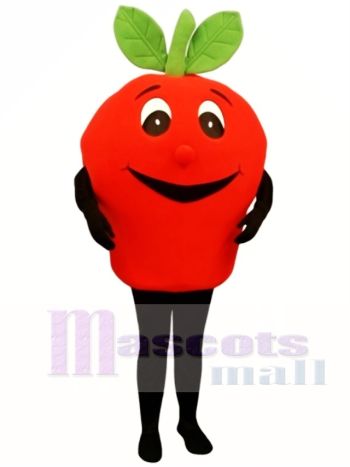 Groß Apfel Maskottchen Kostüm