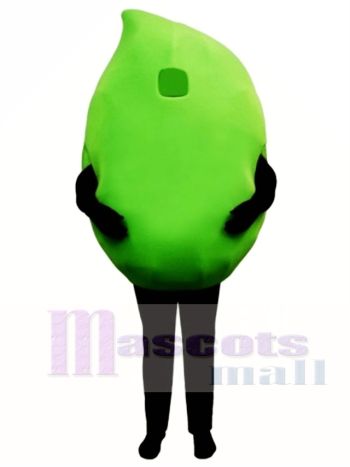 Groß Limetten Maskottchen Kostüm Pflanze